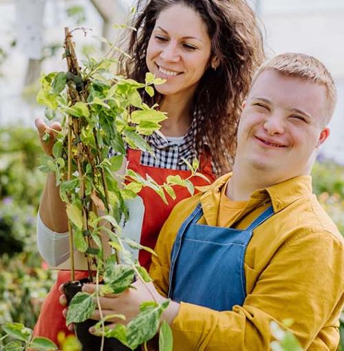 persoon met een arbeidsbeperking aan de slag in een plantenkwekerij