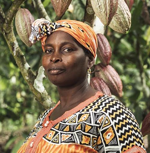 Vrouw in een cacaoplantage