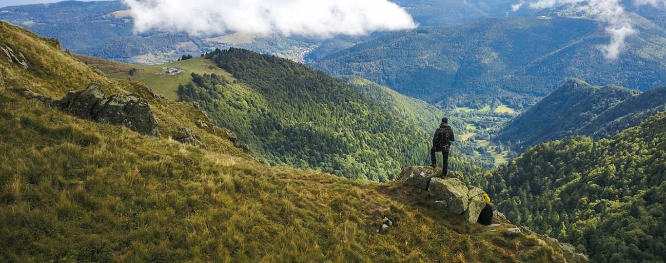 wandelaar tuurt over de toppen van het hertogenwald