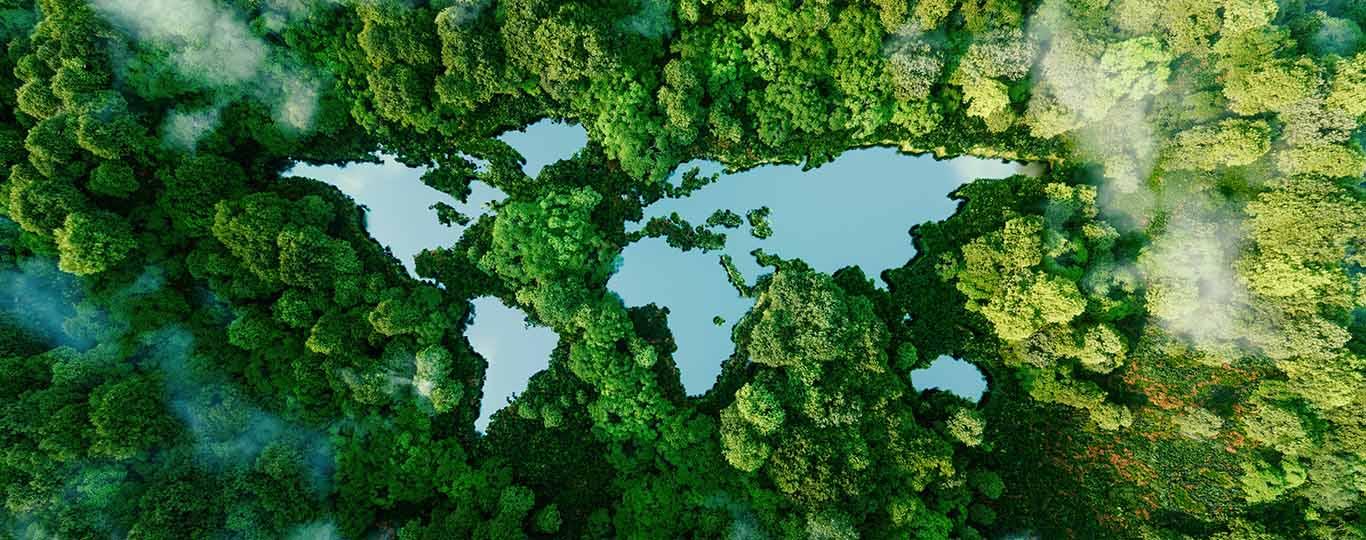 bos en water vormen wereldkaart