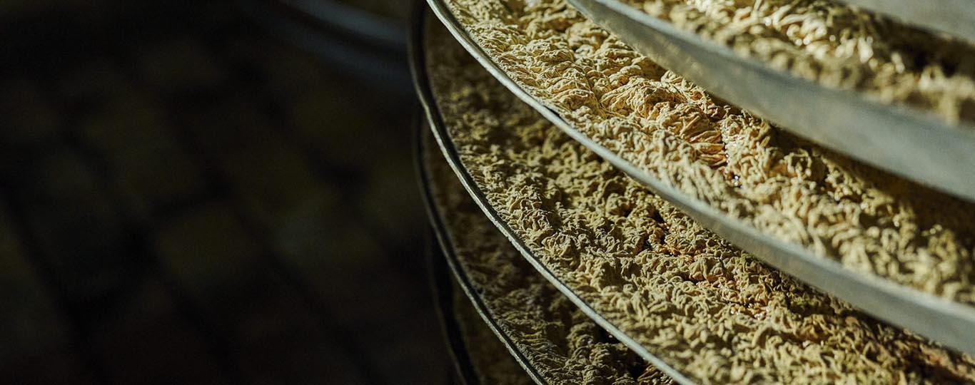Ondiepe schalen in rekken in een van de fermentatiekamers