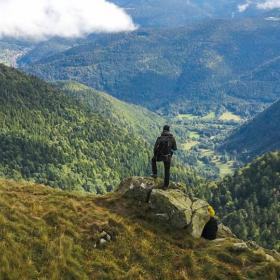 wandelaar tuurt over de toppen van het hertogenwald