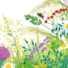 Illustratie van grasveld met bloemen en insecten