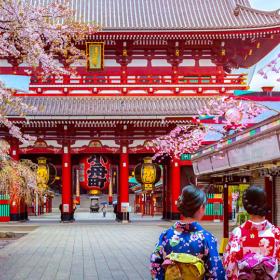 Zicht op Japanse tempel met bloesems eromheen