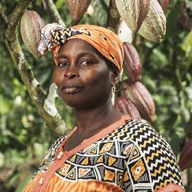 Vrouw in een cacaoplantage